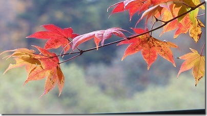 奈良井木曽大橋の紅葉